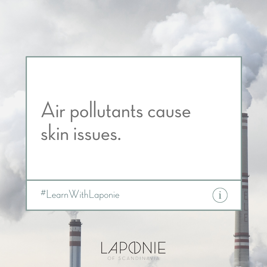 Part 2/3: Air pollutants cause skin issues