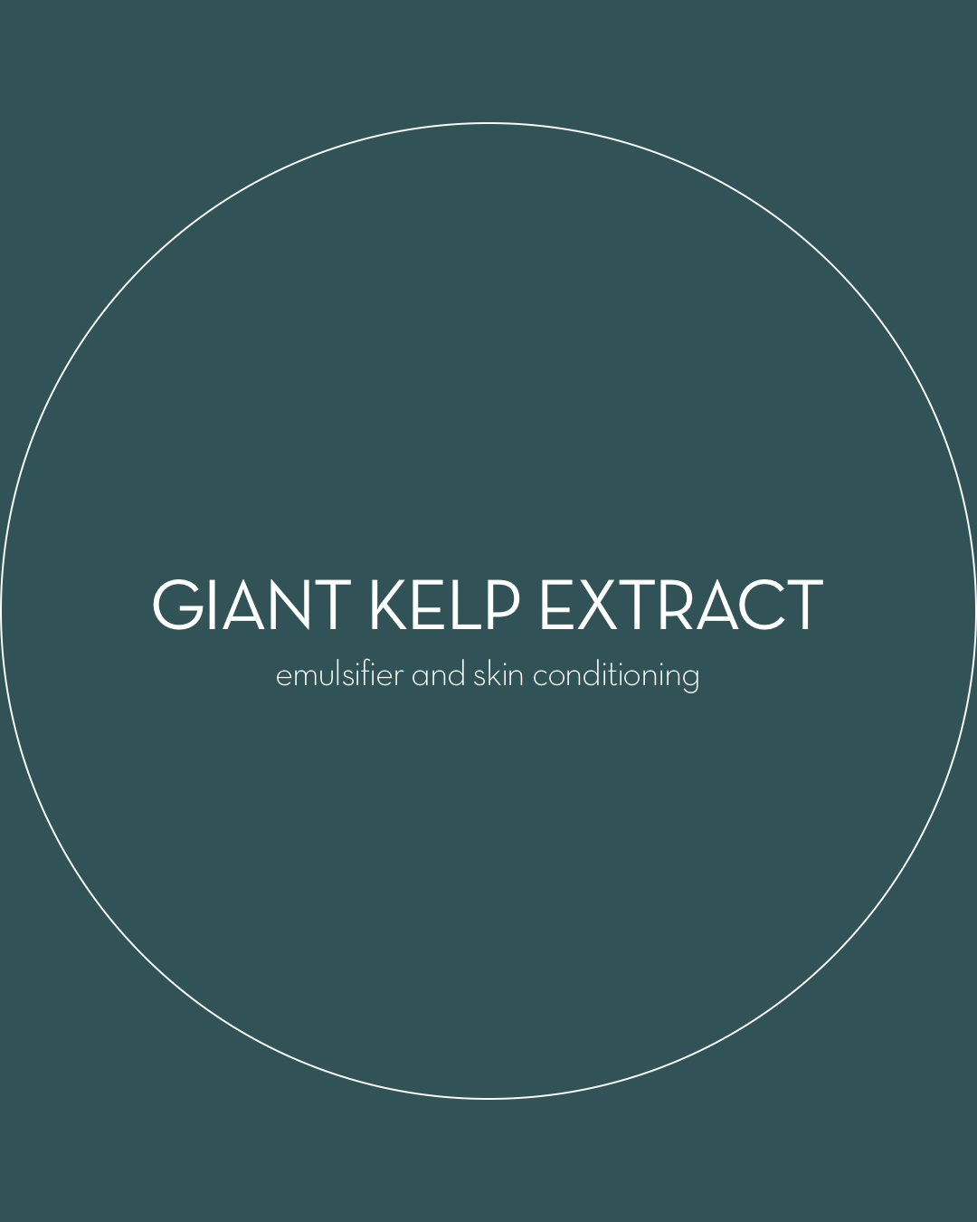 Giant kelp extract